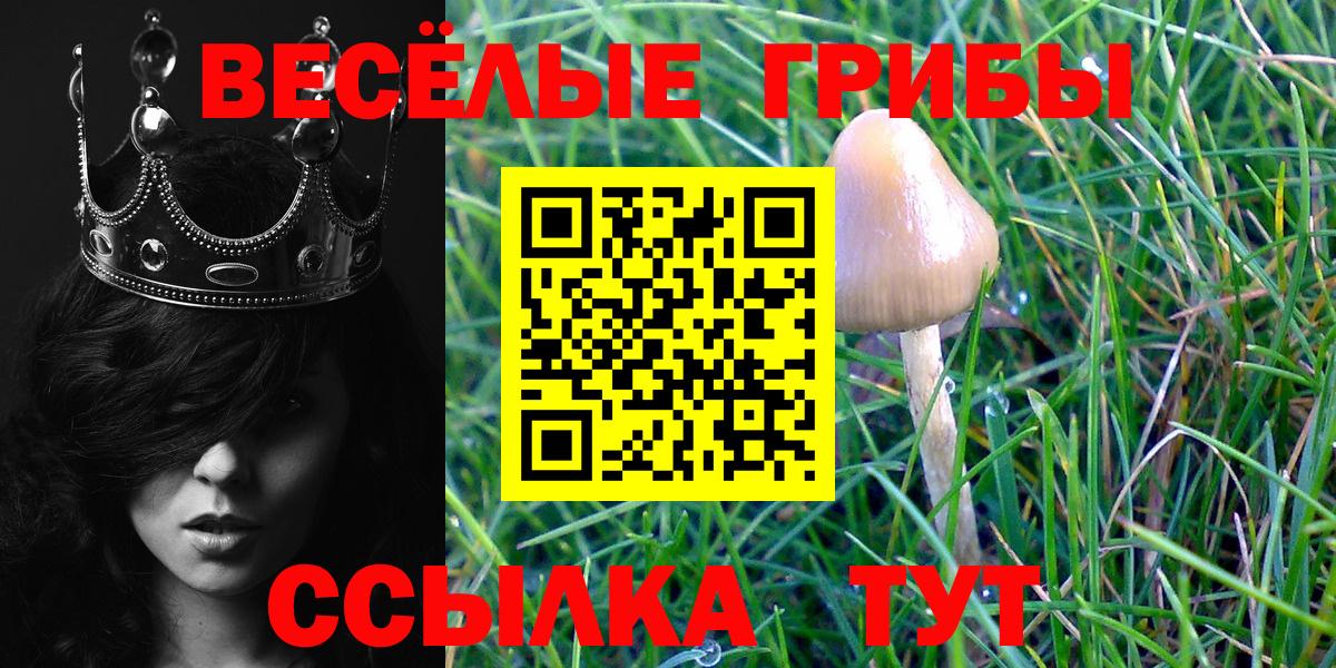 Псилоцибиновые грибы GOLDEN TEACHER Красноуфимск