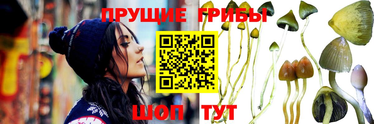 Красноуфимск  Галлюциногенные грибы Cubensis  Псилоцибиновые грибы Cubensis  купить наркотики сайты  Вход с VPN 